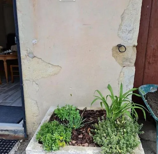 Gite Du Bibicherat